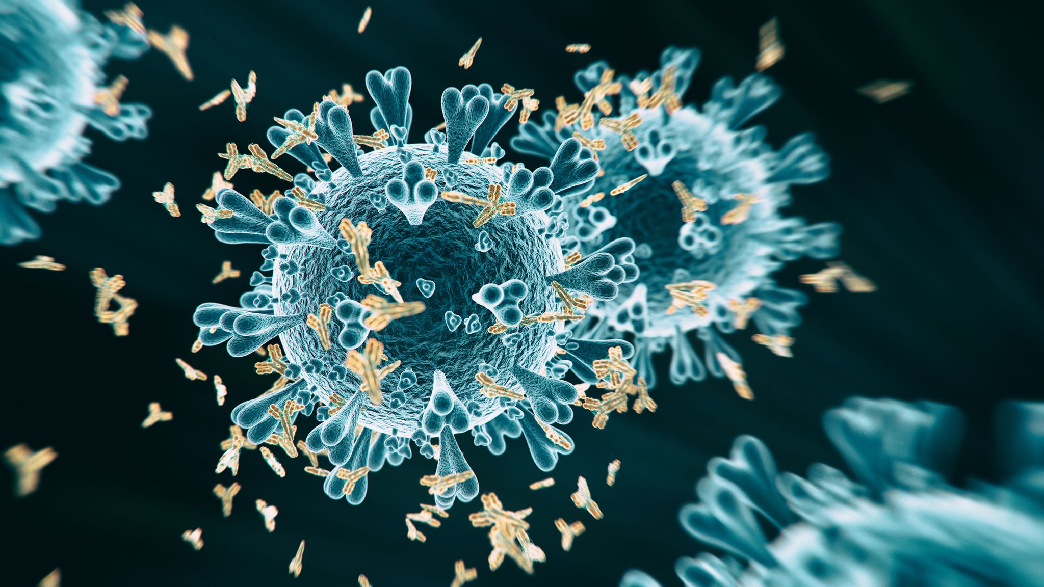 Coronavirus Covid 19 Antibodies Not Detected In Up To 8 5 Of Patients Study Finds Science Tech News Sky News