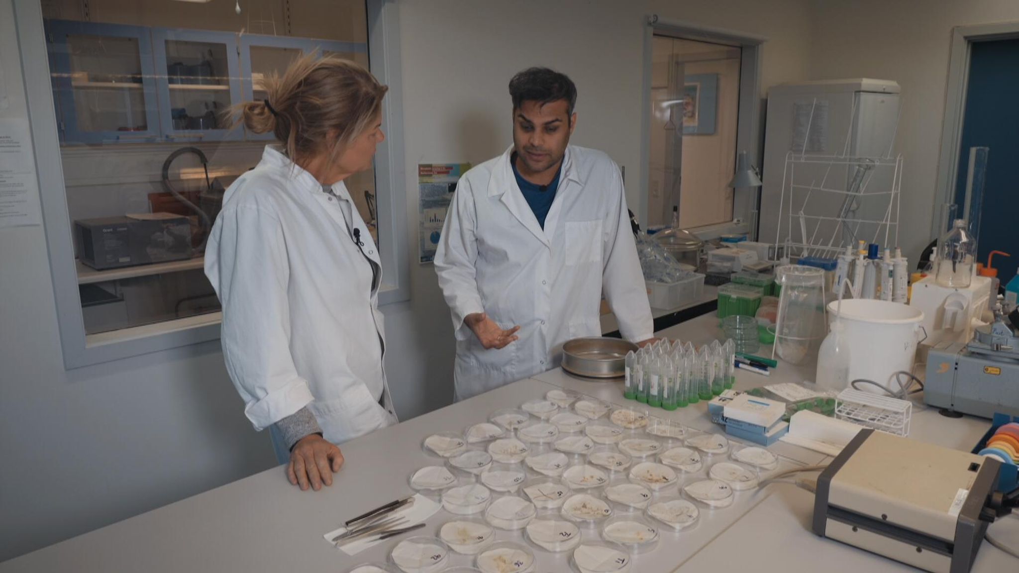 Plastic Nile Threequarters of fish in world's longest river contain