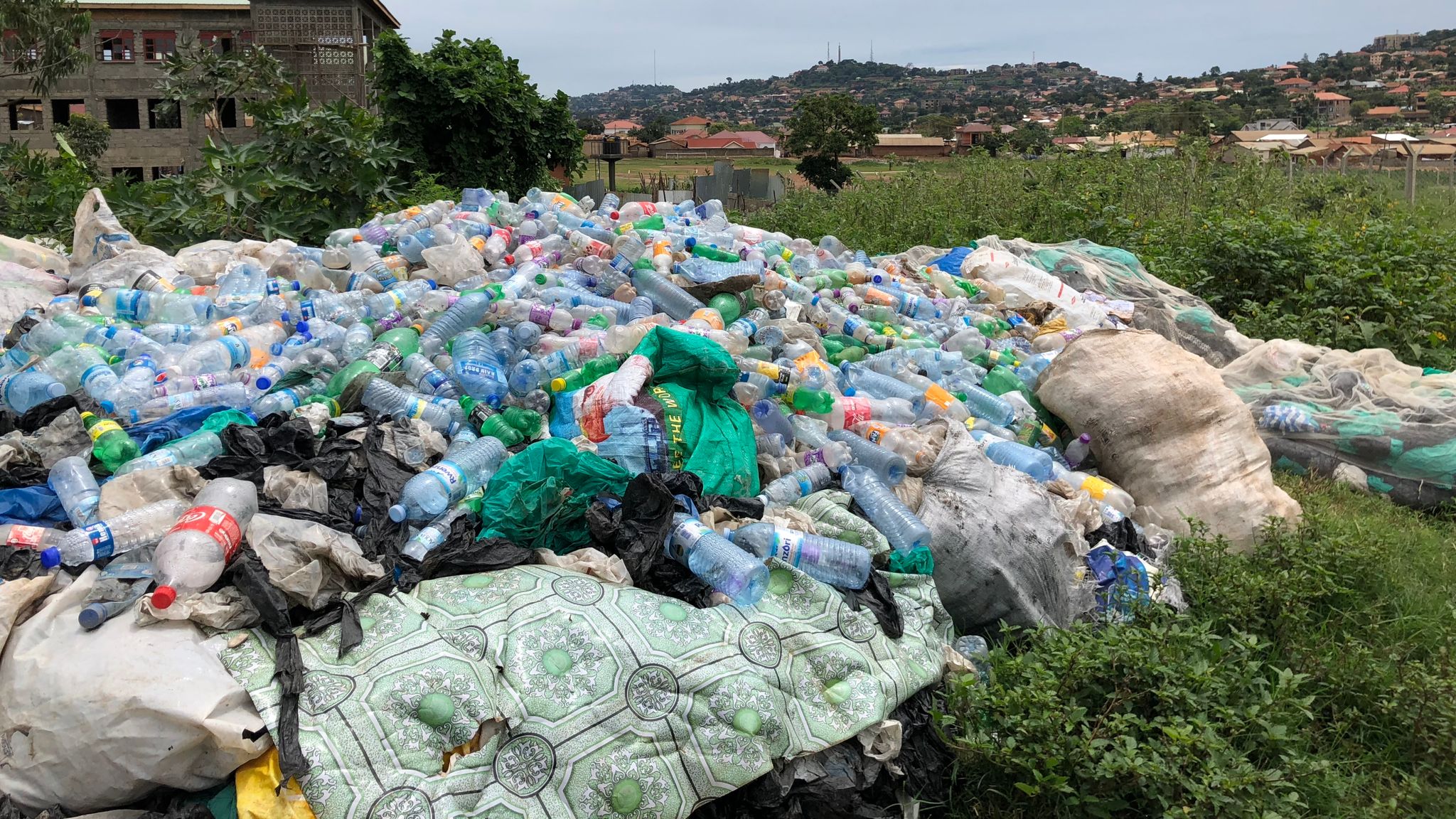 Plastic Nile Threequarters of fish in world's longest river contain