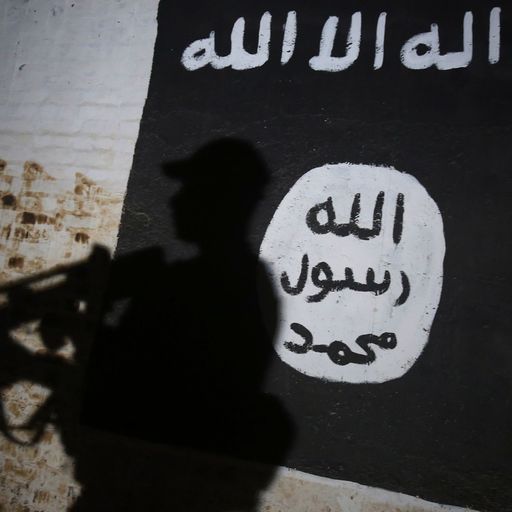 IS could exploit COVID-19 pandemic to carry out terror attacks, EU warns