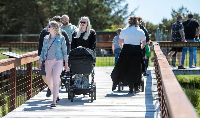 Coronavirus: Denmark to allow some foreign visitors from next month - but Sweden excluded