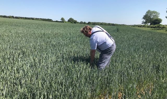 Food price rises likely as farmers see drop in crops after warmest May in decades