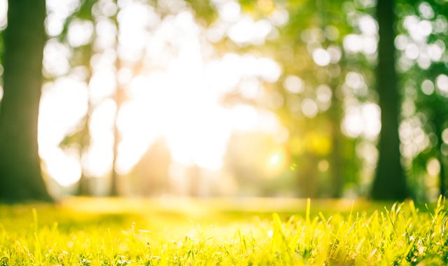 Coronavirus: Is it hay fever or COVID-19? How to tell the difference