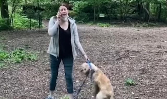 Amy Cooper: Dog walker charged after accusing black man who was bird watching of 'threatening' her