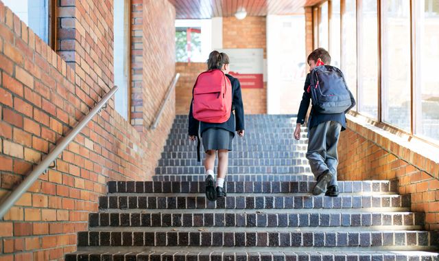 Coronavirus: 'Too soon' for children to return to school, government warned