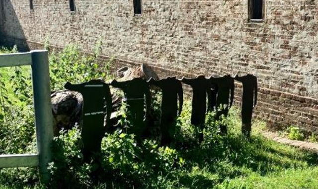 Statues in memory of fallen soldiers are 'beheaded' in vandalism attack