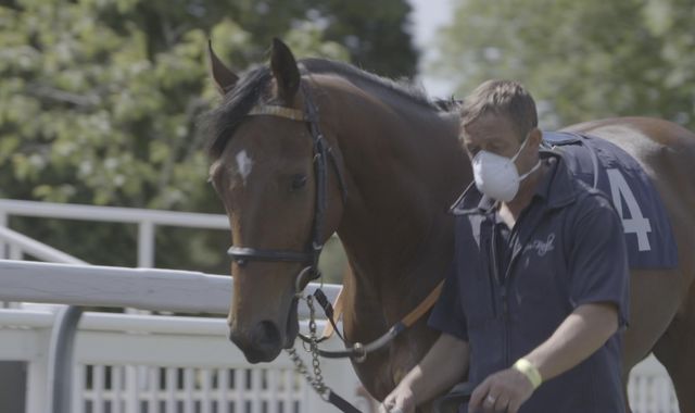 Coronavirus: Competitive sport to return behind closed doors from Monday