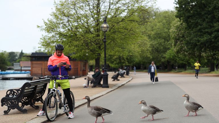 A cyclist watching Greylag geese walk past in a sparsely populated Hyde Park, London, as the UK continues in lockdown to help curb the spread of the coronavirus.