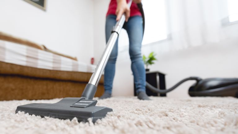 Cleaners should not be allowed to work in other people's homes, most Britons think 