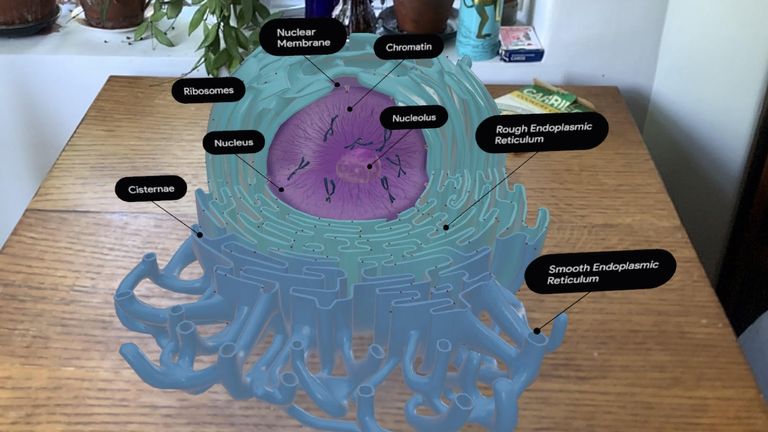 Cellular structures are also available to explore in 3D