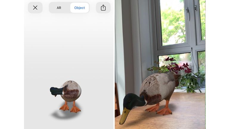 Fix Google 3D Animals Not Working