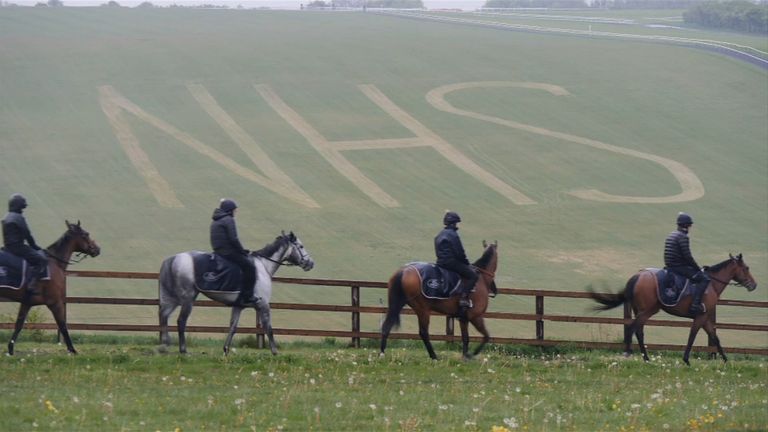 The horseracing industry is looking at ways it can safely return as soon as possible.
