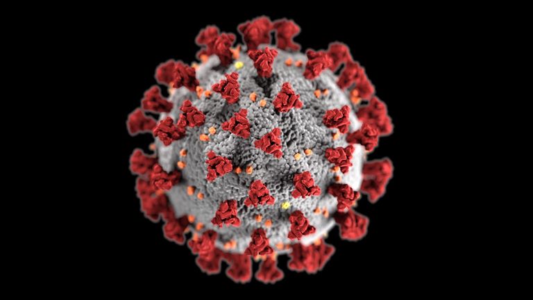 Illustration of the coronavirus, featuring the spike proteins in red. Pic: US CDC