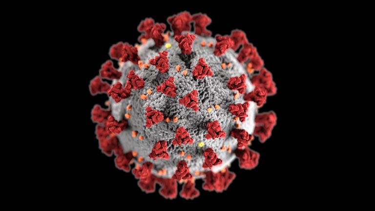 Coronavirus: Scientists say a more contagious mutant strain has been  sweeping globe | Science & Tech News | Sky News