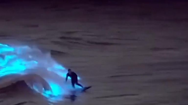 California: Surfer glides across glowing waves caused by plankton and ...