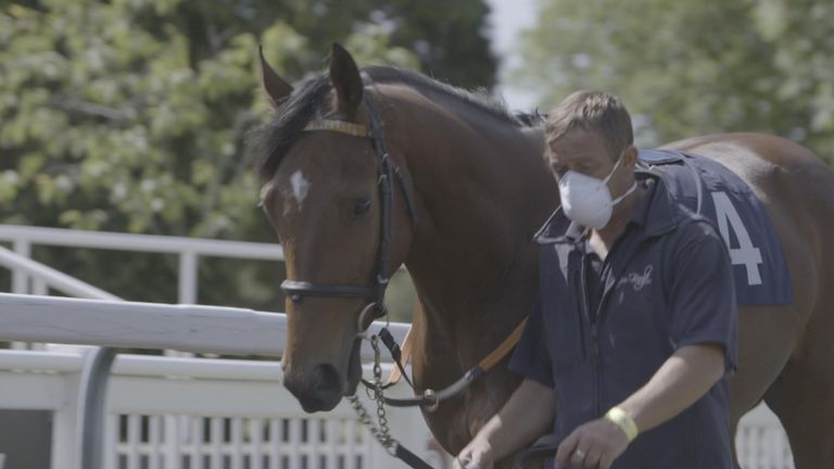 Racecourses across the country have been remodelled to accommodate new rules