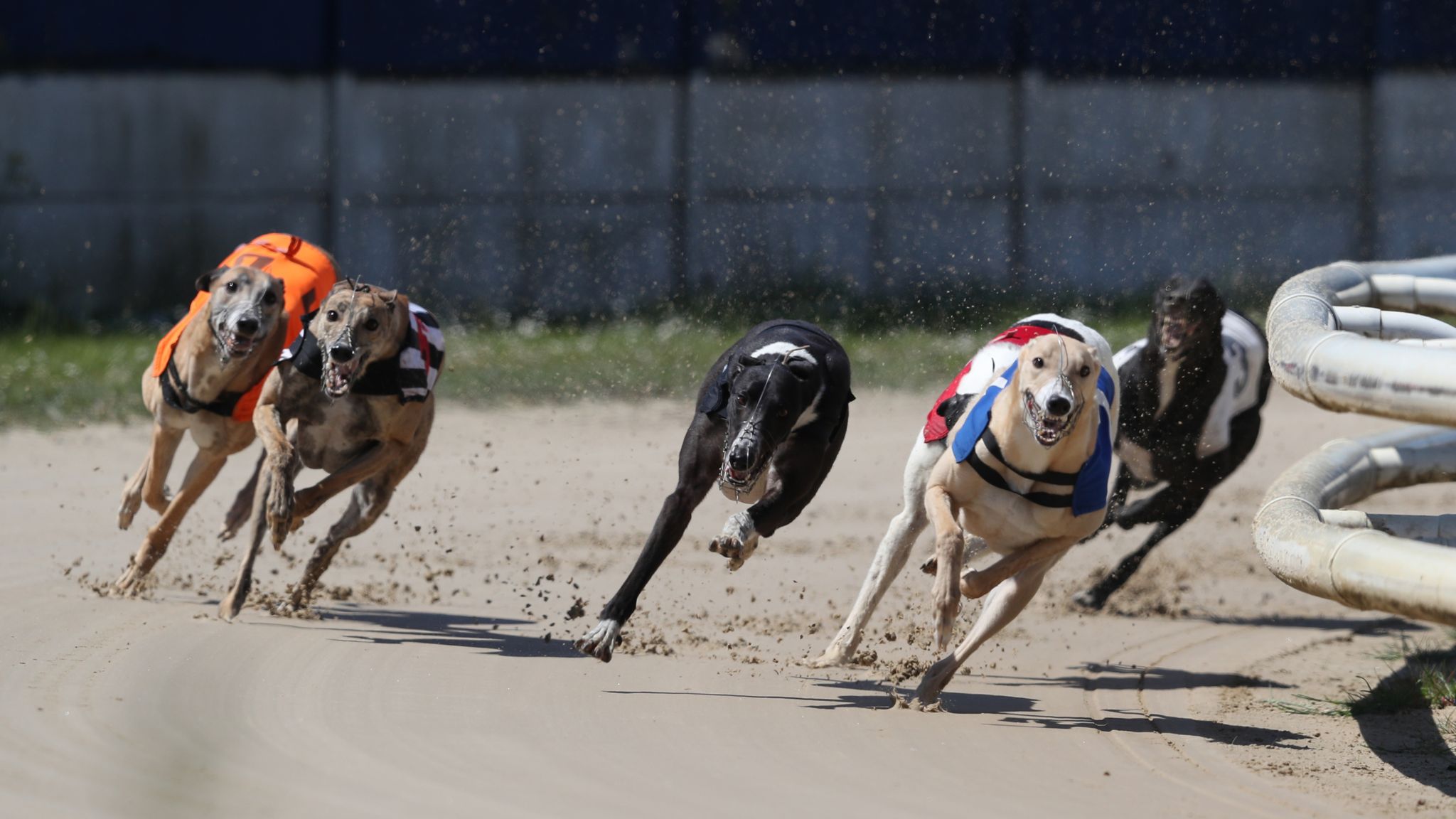 Coronavirus Horse racing and snooker under way as live sports return