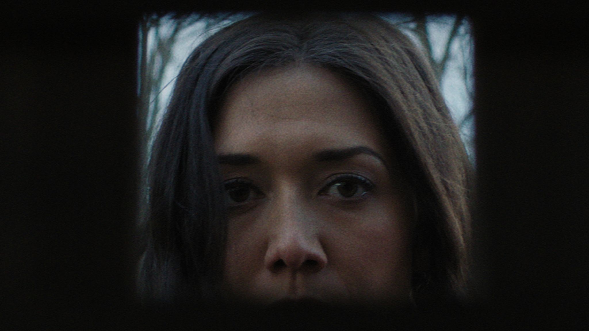 Wretched Box Backstage with... The Wretched: The low-budget horror unexpectedly ...