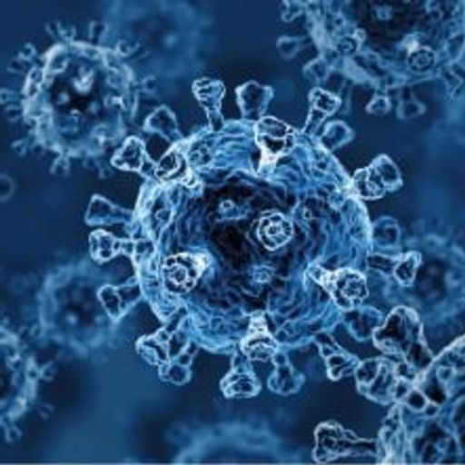 Coronavirus: Scientists tackle the question of origin