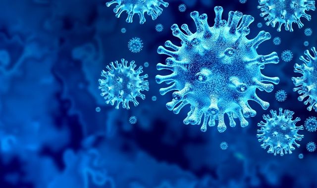 Coronavirus: Six types of COVID-19 identified by scientists in 'major' breakthrough for treatment&nbsp;
