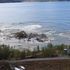 Norway landslide sweeps dog and eight houses into sea