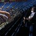 TikTok teens and K-pop fans claim responsibility for half empty Trump rally