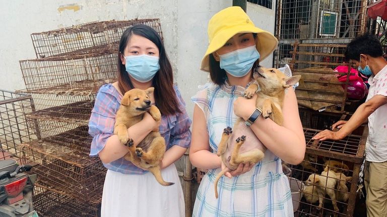 Activists with a couple of the dogs they saved. Pic: Humane Society International 