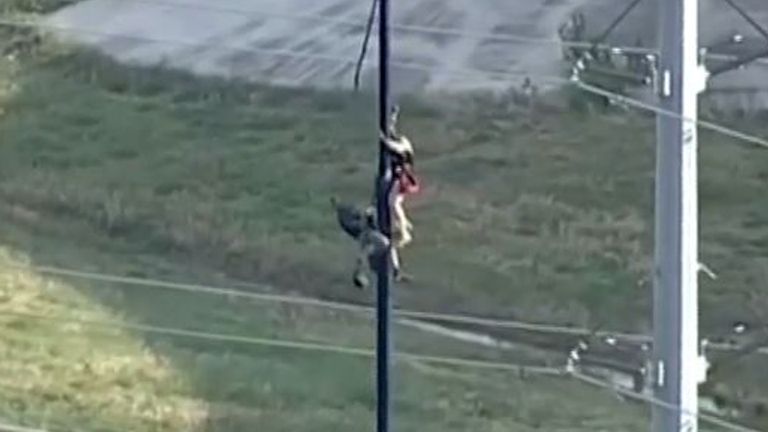 Man Rescued After Getting Stuck Up Flagpole In Texas Us News Sky News