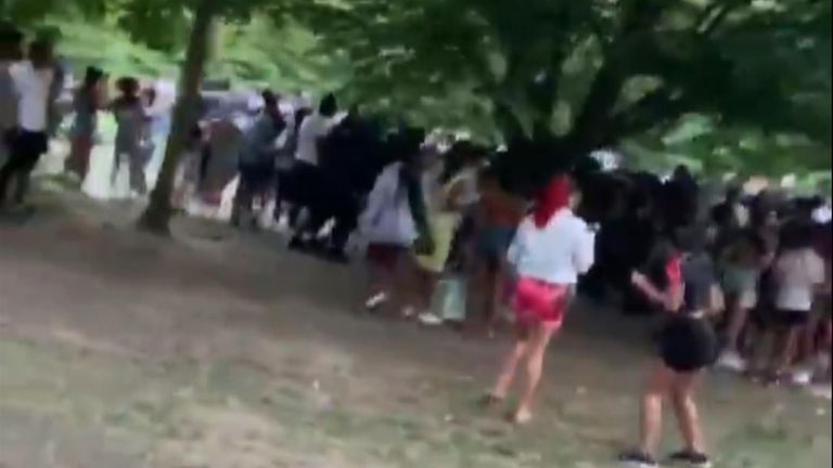 Dozens of people appeared to flout government rules on mass gatherings in Streatham Common, south london on Thursday evening.