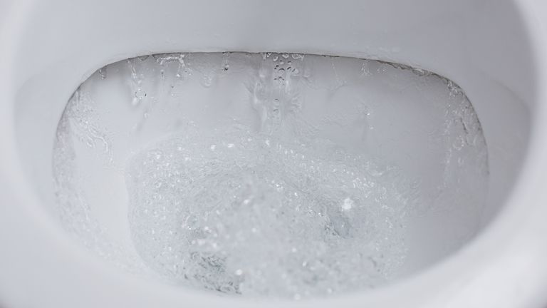 Coronavirus: Flushing the loo can create a cloud of virus particles ...