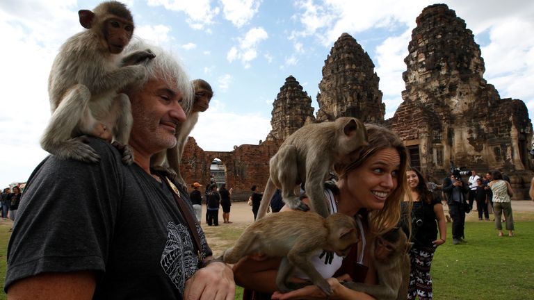 With the tourists gone, what now for Lopburi's famous monkeys?, Thailand