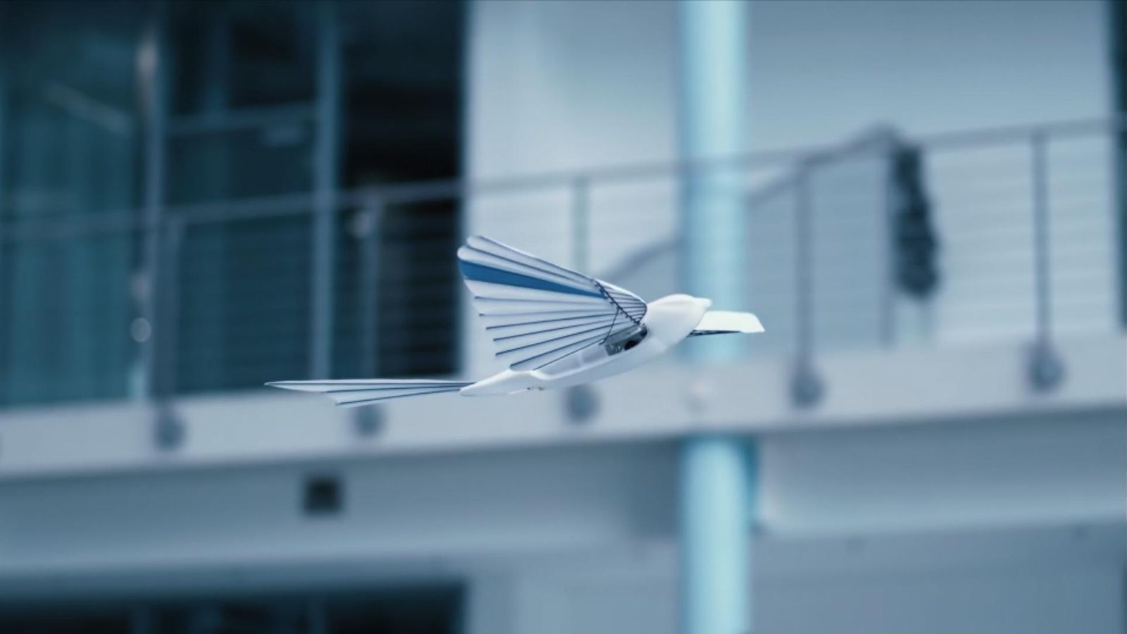 Robotic birds capable of amazingly realistic flight shown off by German