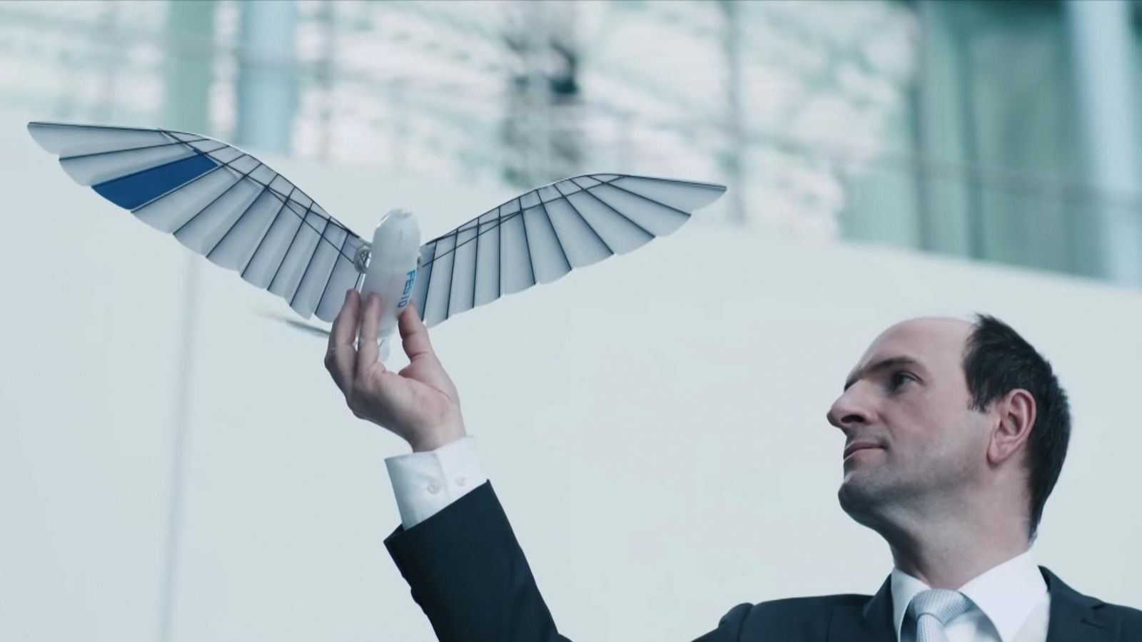 Robotic birds capable of amazingly realistic flight shown off by German