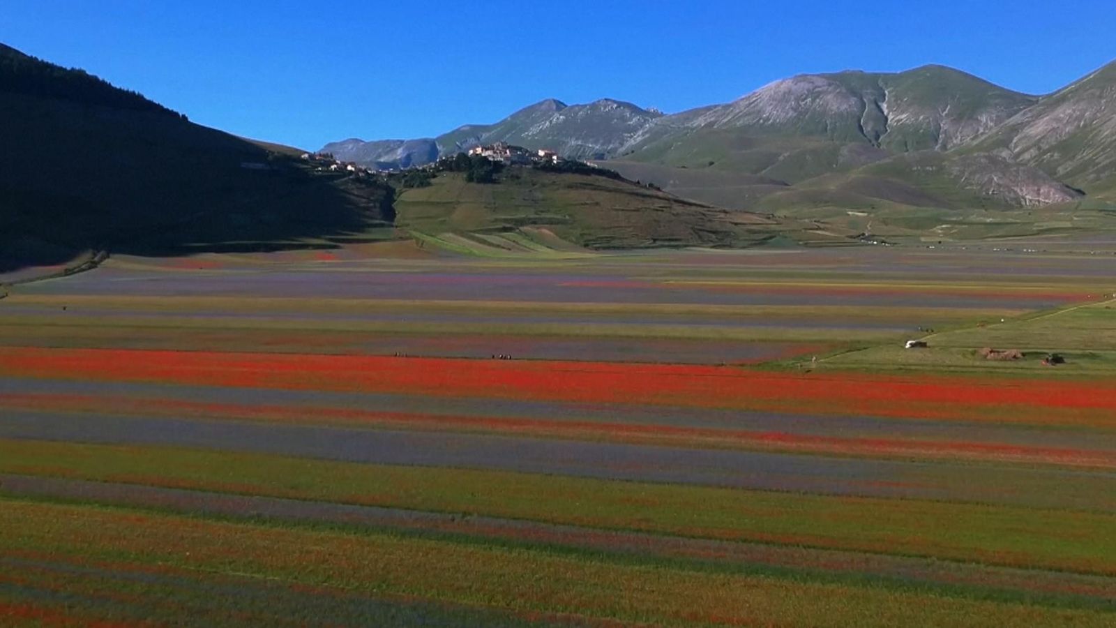 Italy Stunning wildflowers cover Italian plain in Umbria known as