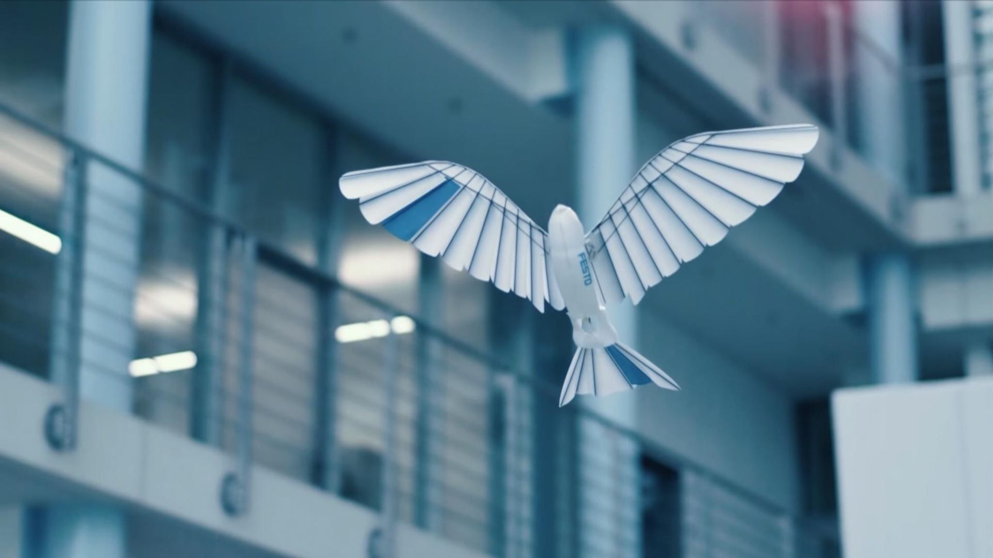 Robotic birds capable amazingly realistic flight by German company | Science & Tech News | Sky News