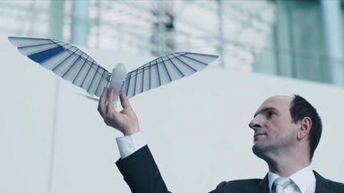 Robotic birds capable of amazingly realistic flight shown off by German ...