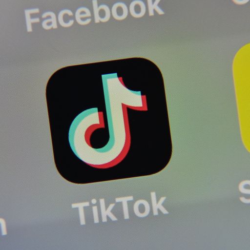 What data does TikTok collect on its users, and how do other apps compare?