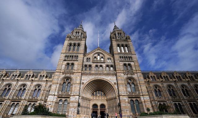 Coronavirus: London's Natural History Museum, Science Museum and Victoria & Albert Museum to reopen