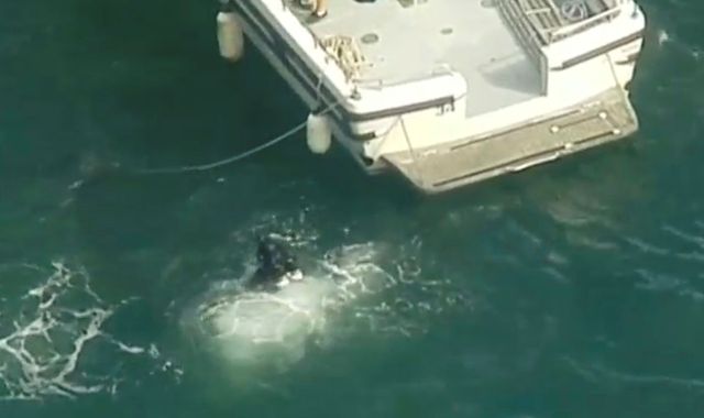 Carbon monoxide 'likely' to have affected New Year's Eve crash pilot