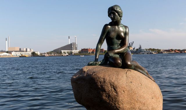 Hans Christian Andersen's Little Mermaid statue vandalised with 'racist fish' graffiti