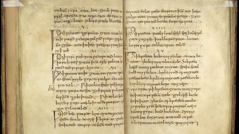 Bald&#39;s Leechbook is a 1,000-year-old Anglo Saxon text. Pic: The British Library Board (Royal 12 D xvii)