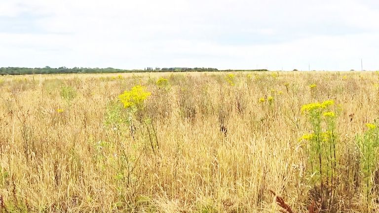 Land in Kent for a new 'border control centre'