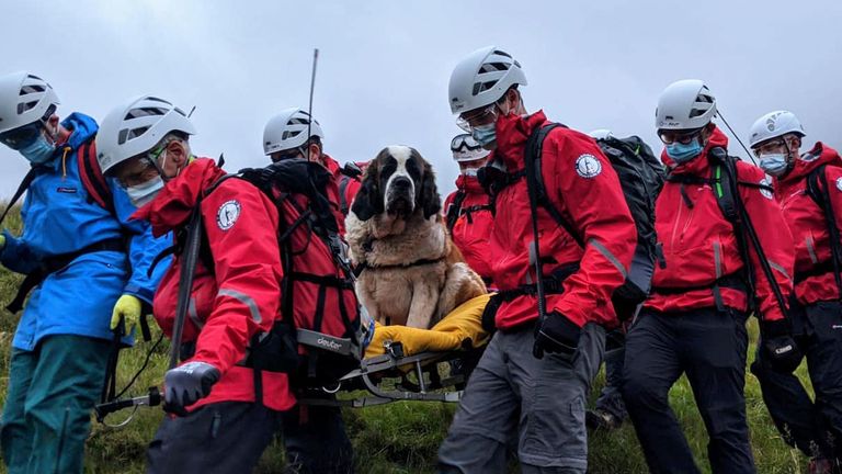 Daisy collapsed on the way down Scafell Pike. Pic: Wasdale Mountain Rescue Team