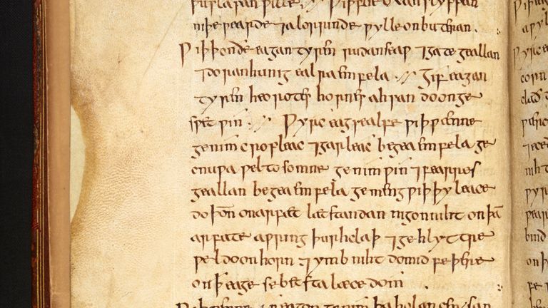 The actual eyesalve remedy text. Pic: The British Library Board (Royal 12 D xvii)