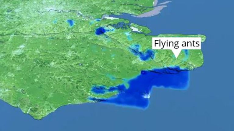 A Met Office satellite image of flying ant swarms over England