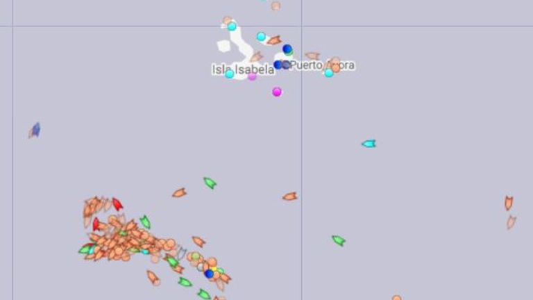 A huge fleet of Chinese fishing vessels was spotted off the Galapagos Islands. Pic: Marine Traffic