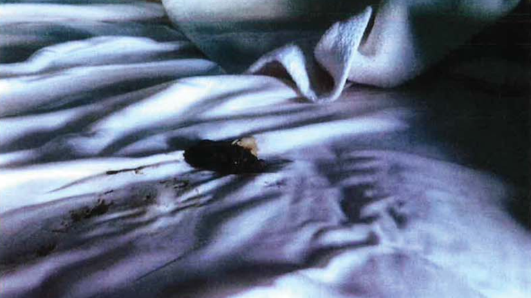 A picture shown in the witnesses&#39;s statement of the faeces in the bed