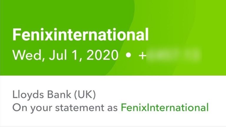 Fenix internet on bank statement
