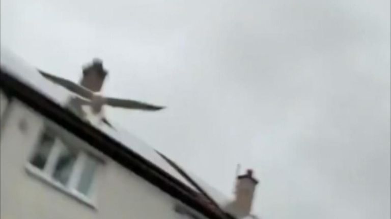 Seagull attacks man in Glasgow 