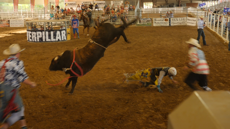 Few were wearing masks at a bull-riding competition in Giddings, Lee County, Texas, on the Fourth of July weekend